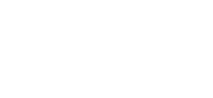 Meidin